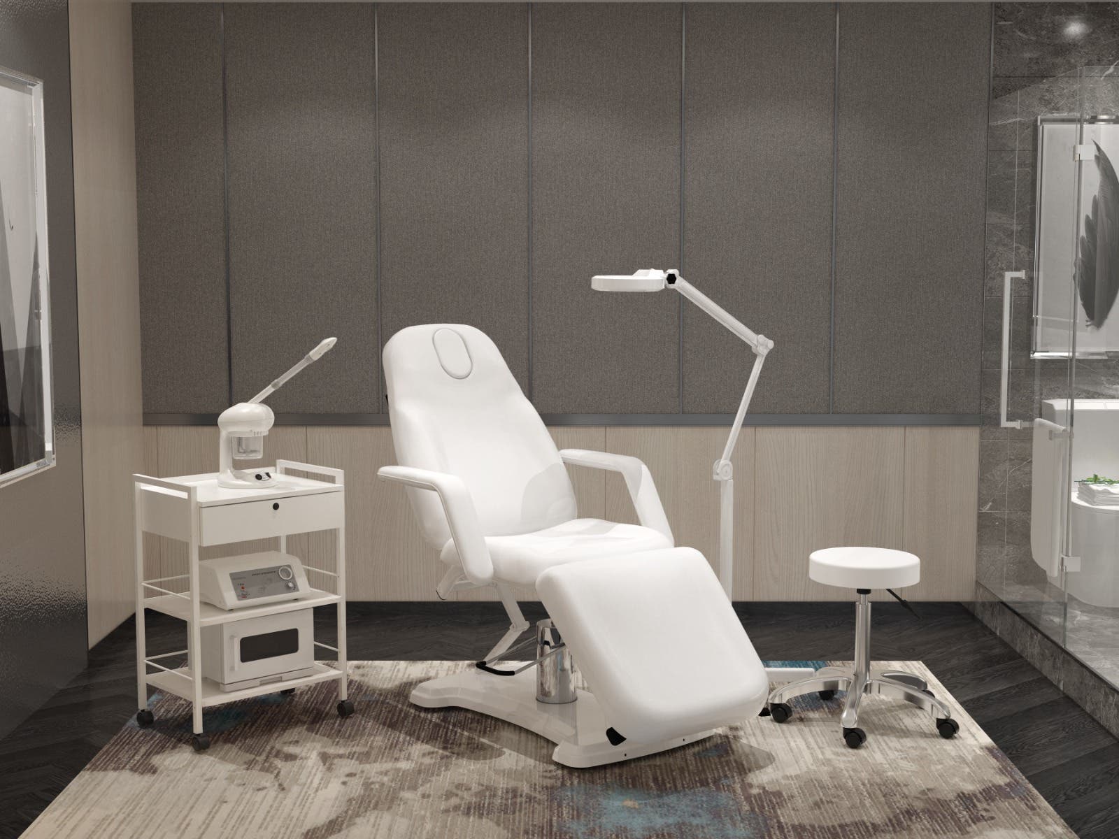 SilverfoxFacialChair,2206AWhite