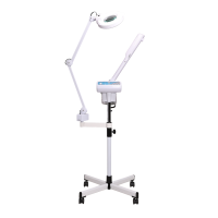 Paragon Vaporizer Steamer And Magnifying Lamp
